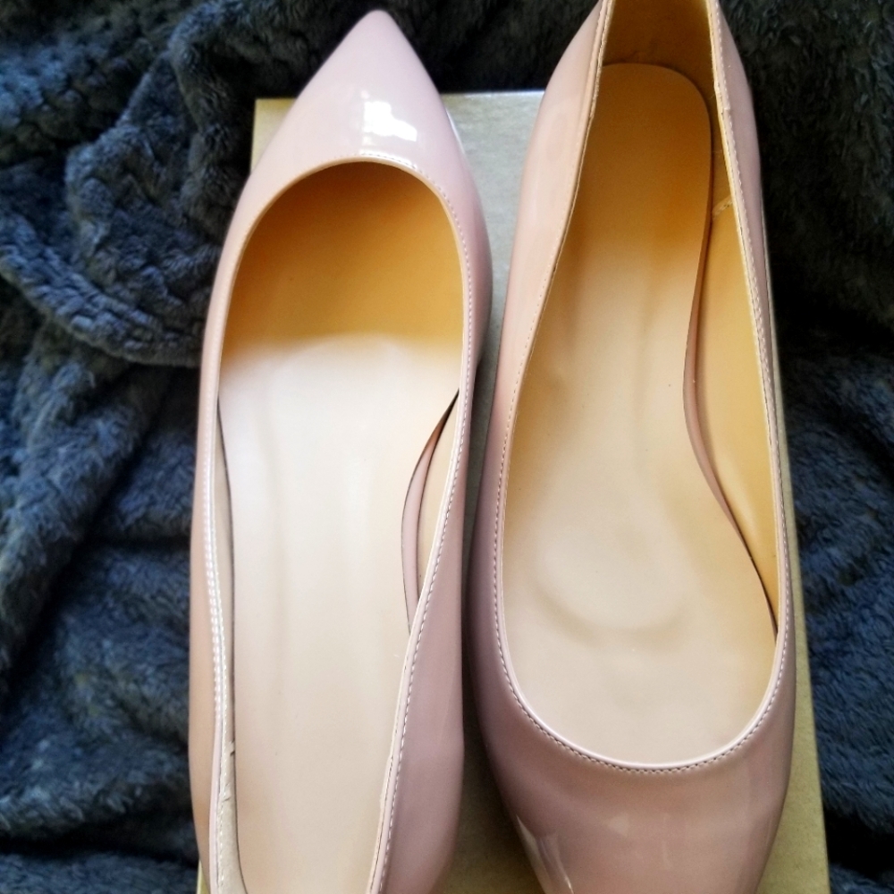 Pointed Toe Flat